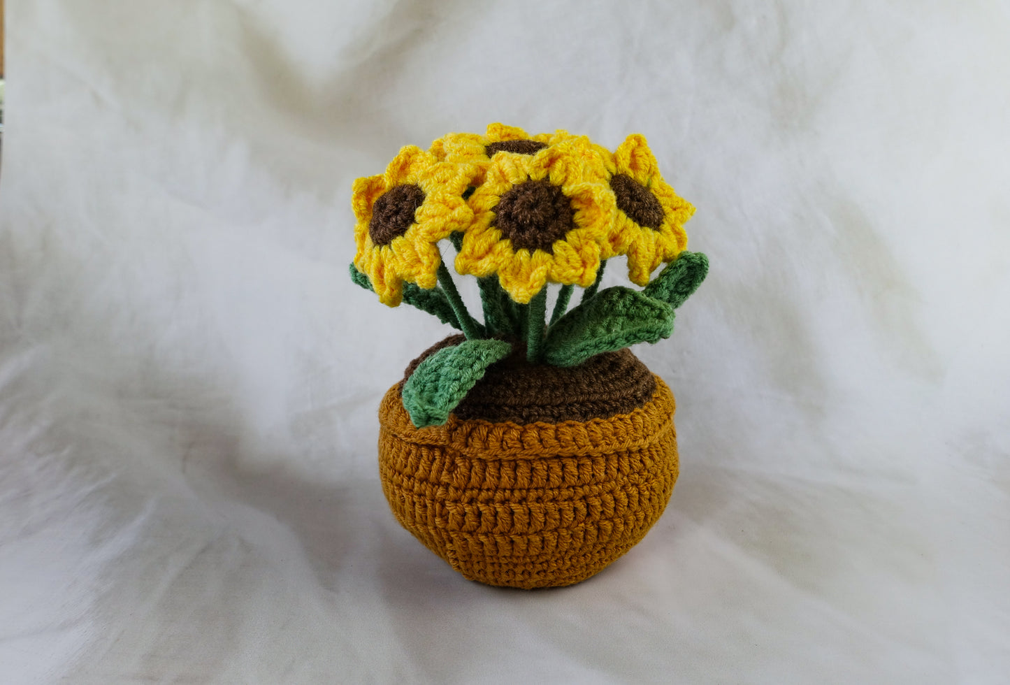 Sunshine Pot Plant