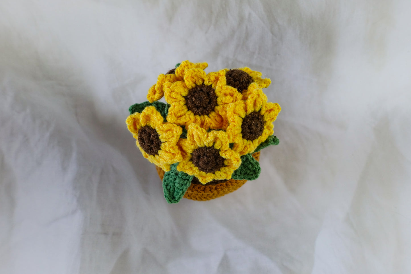 Sunshine Pot Plant