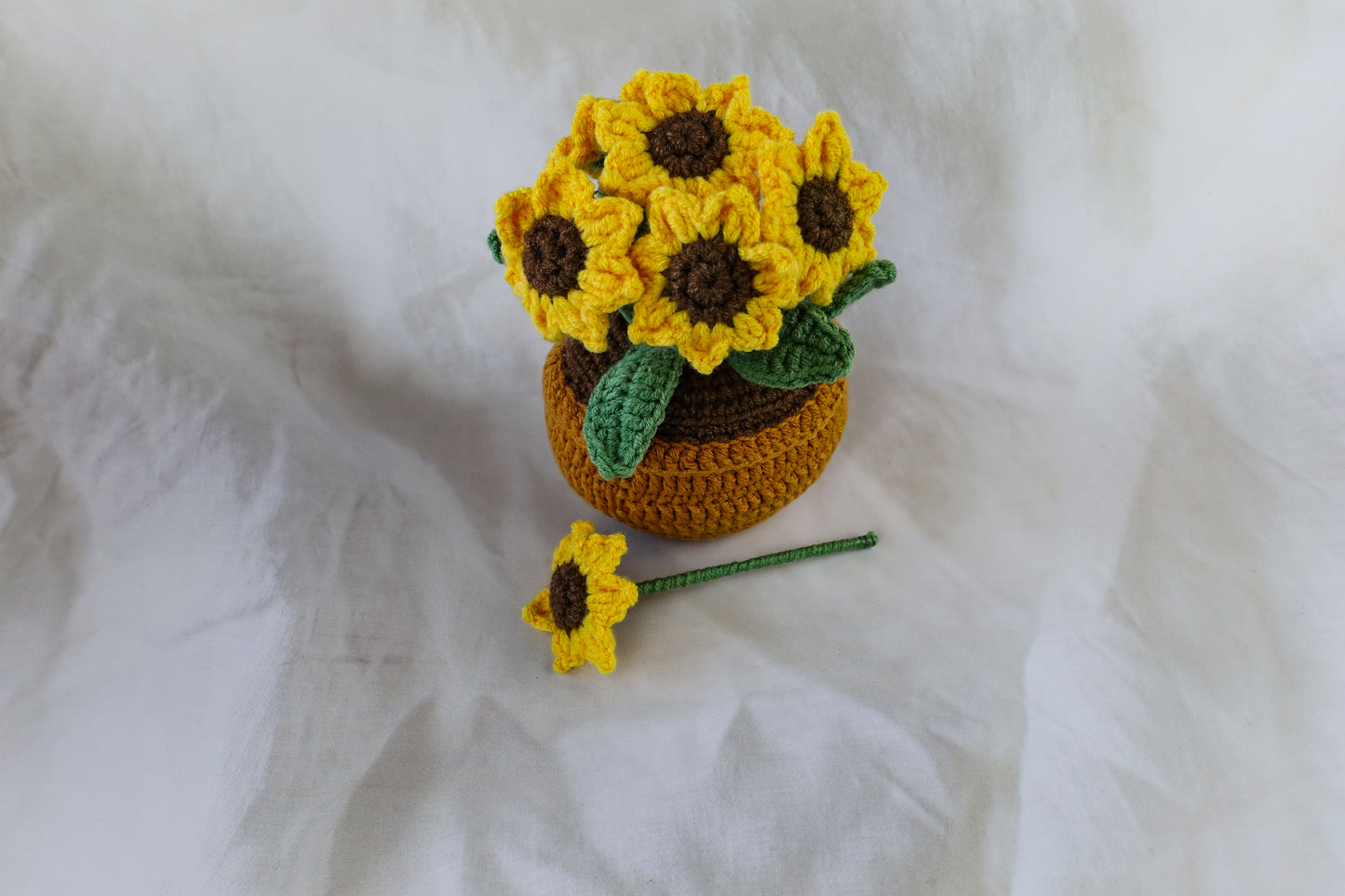 Sunshine Pot Plant