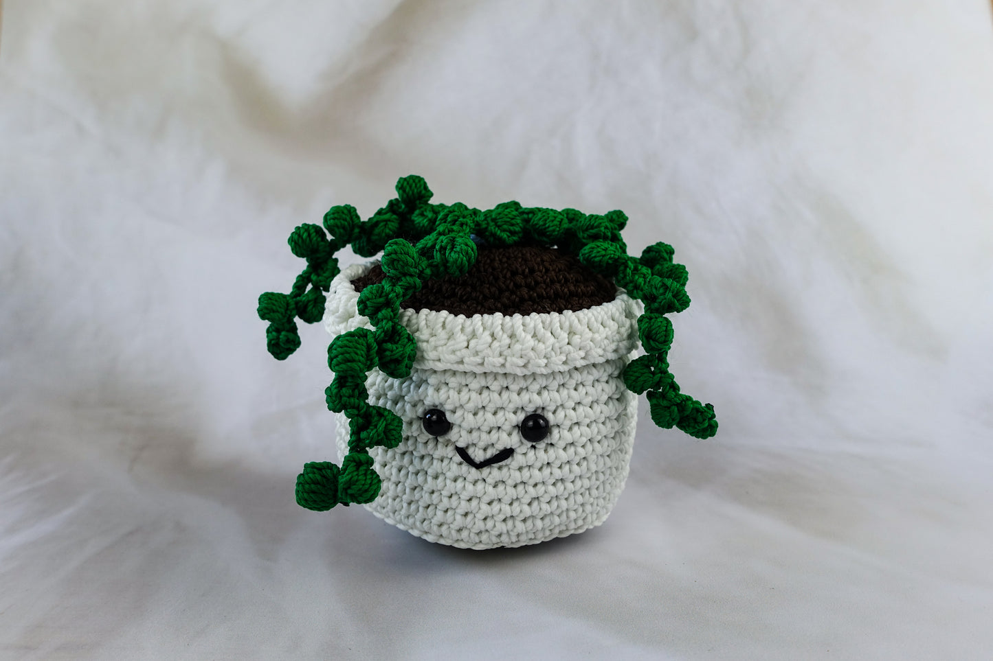 Alfred Cactus Pot Plant