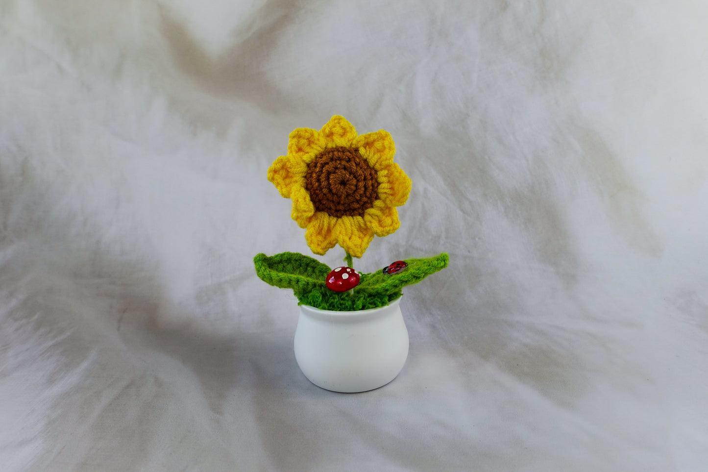 Small Sunflower Pot Plant