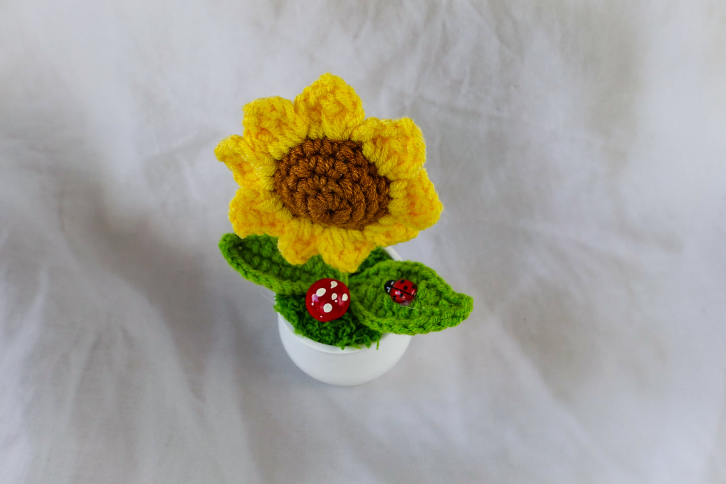 Small Sunflower Pot Plant