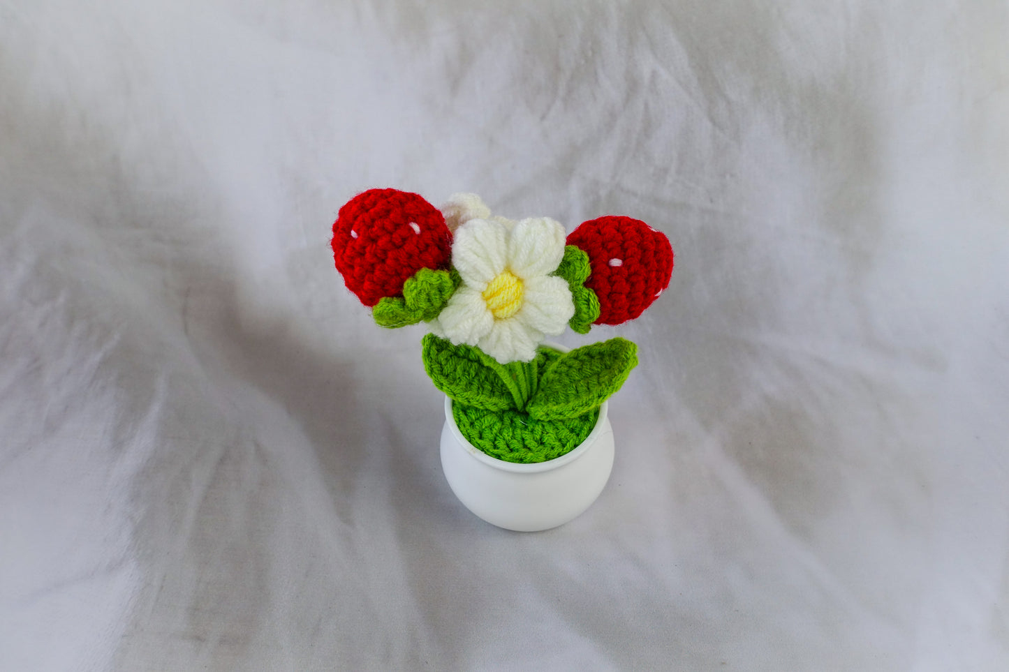 Strawberry Pot Plant
