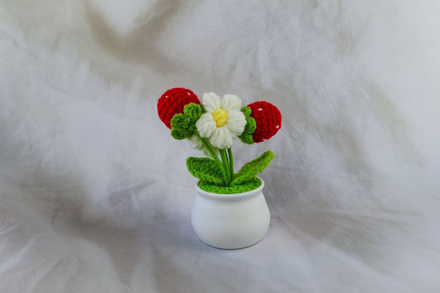 Strawberry Pot Plant