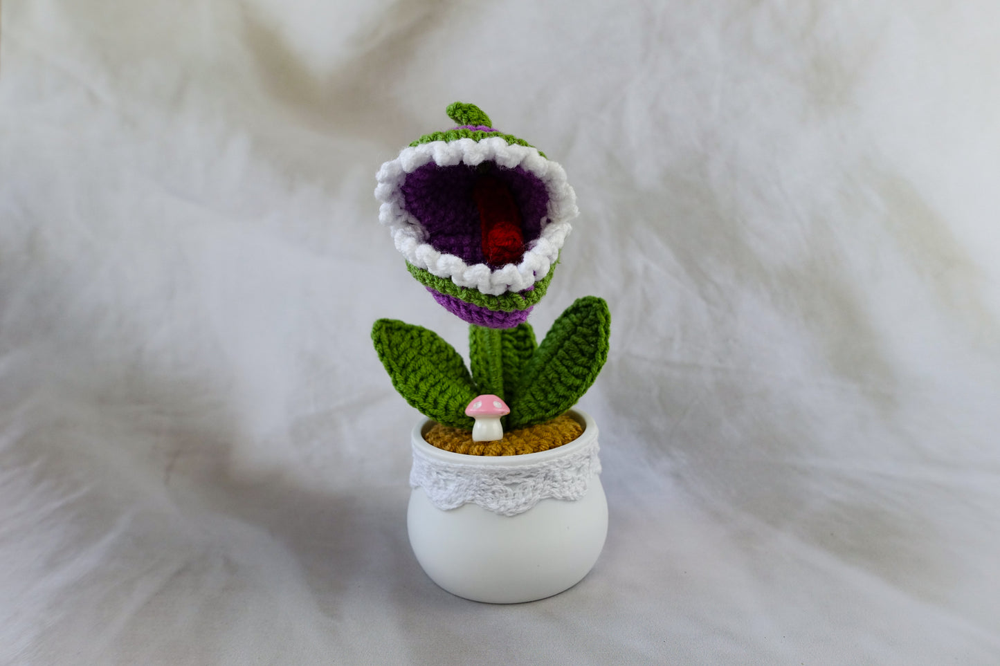 Venus Flytrap Pot Plant