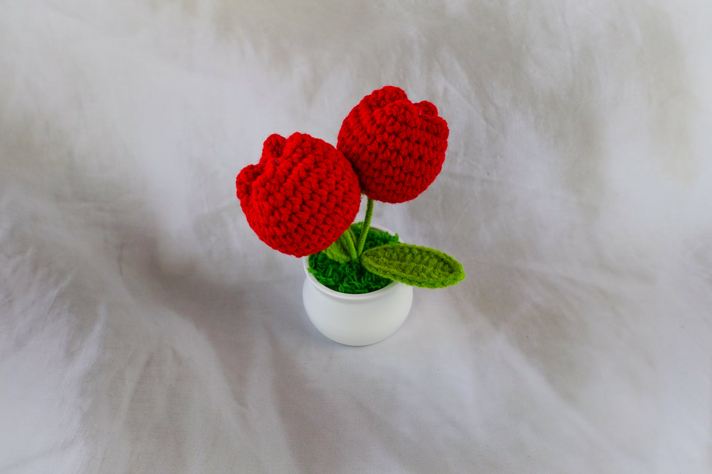Small Red Tulip Pot