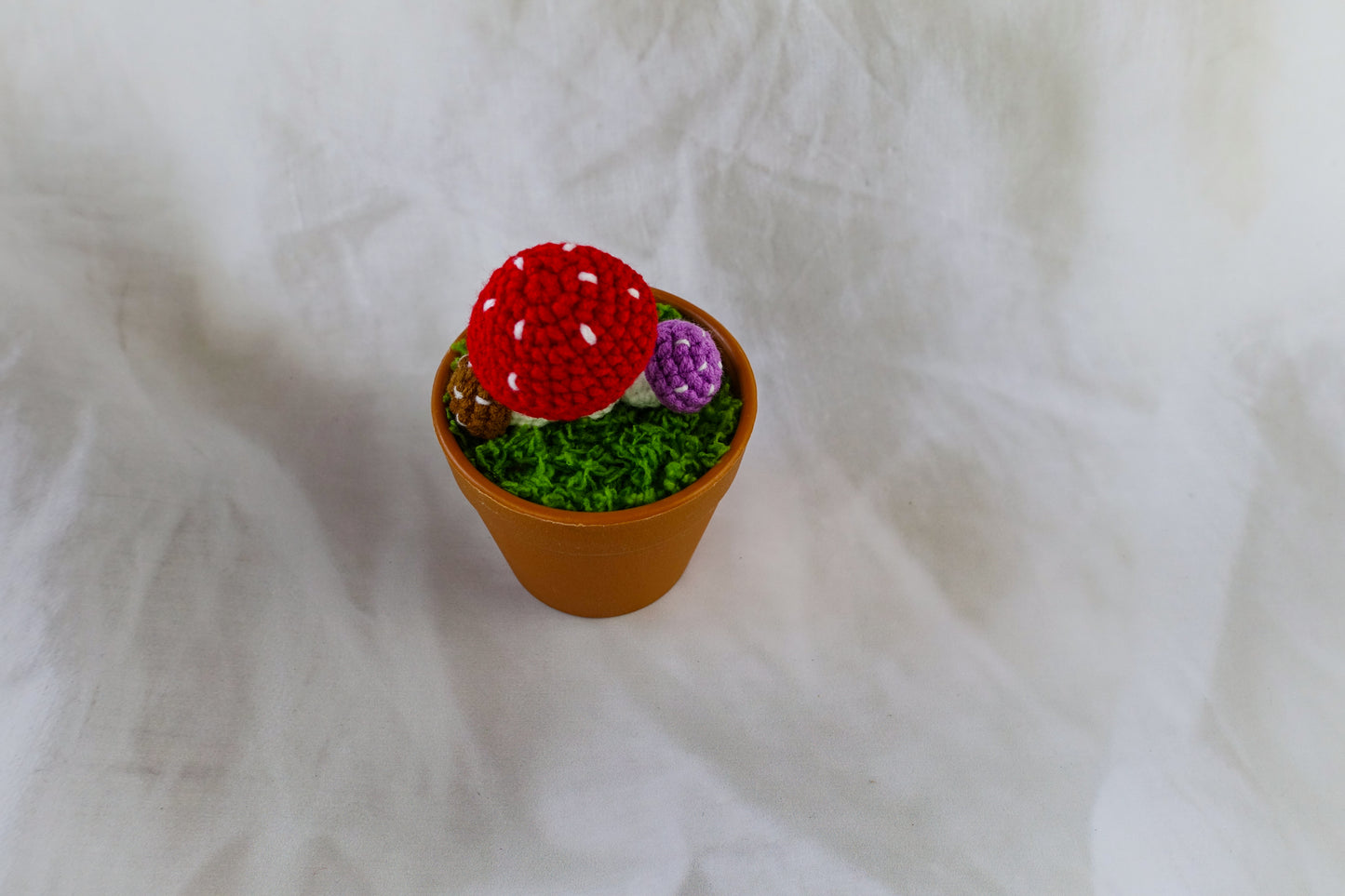 Mushroom Pot Plant