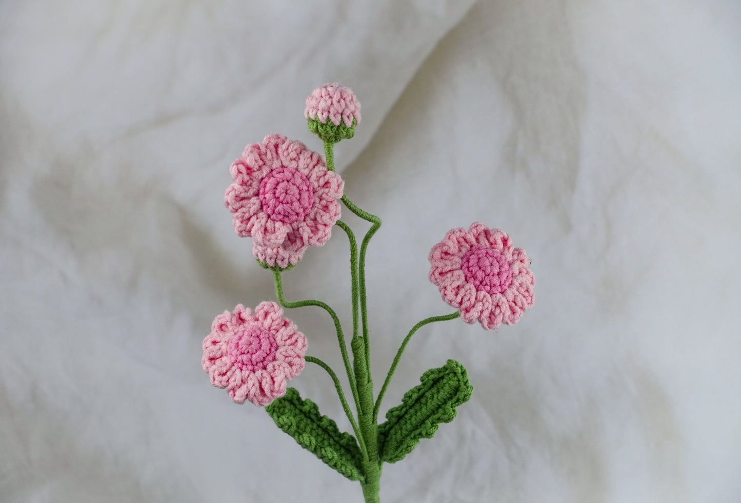 Daisy - Pink