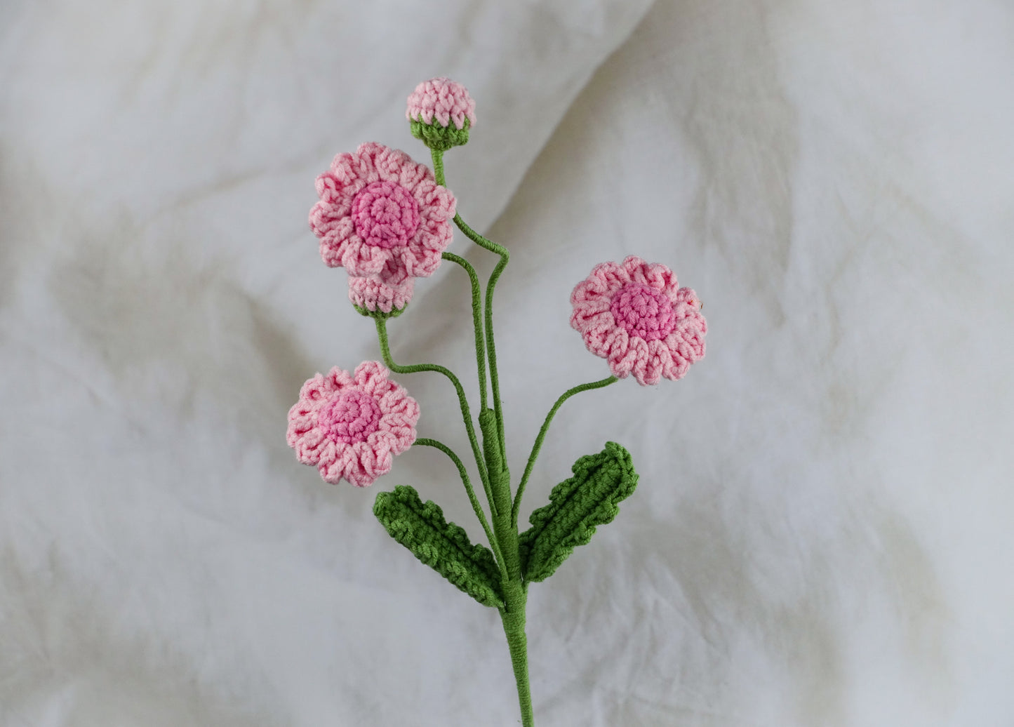 Daisy - Pink