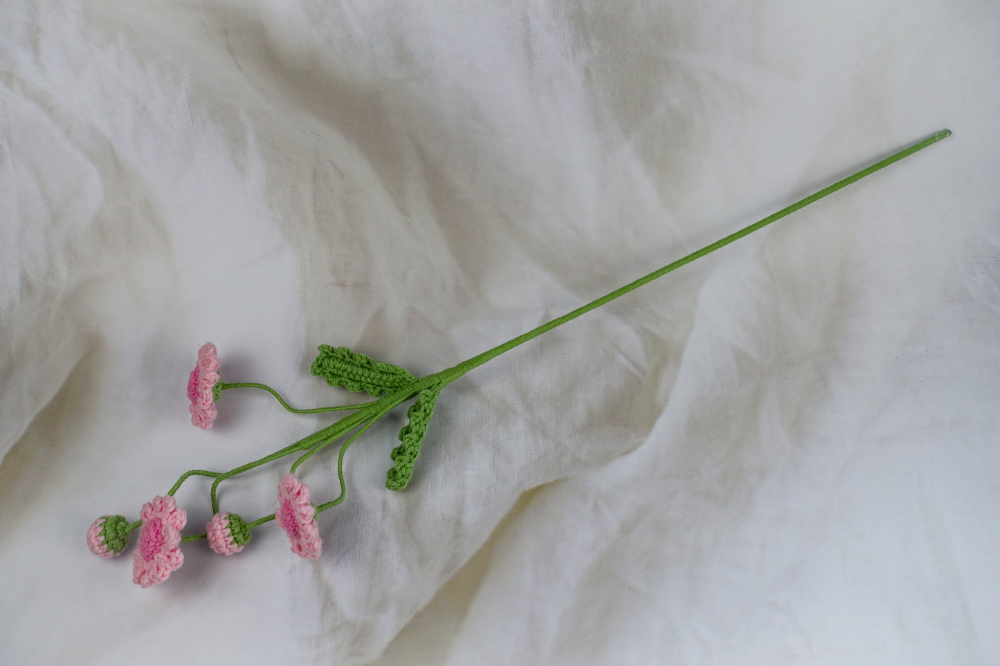 Daisy - Pink