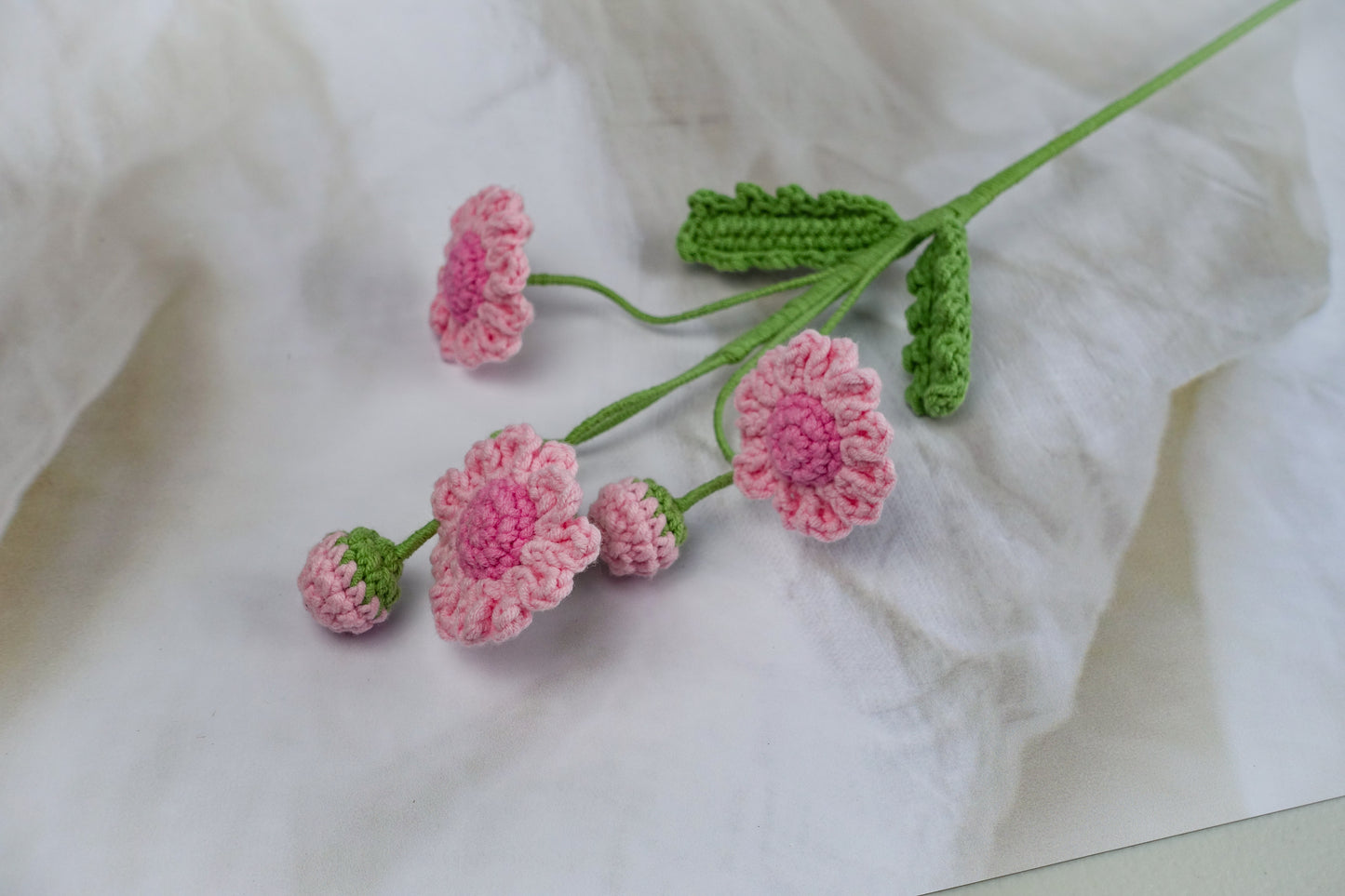 Daisy - Pink
