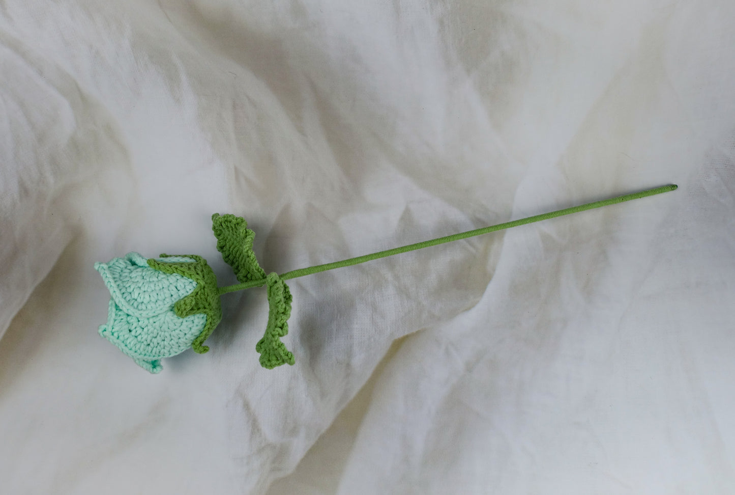 Thai Rose - Teal