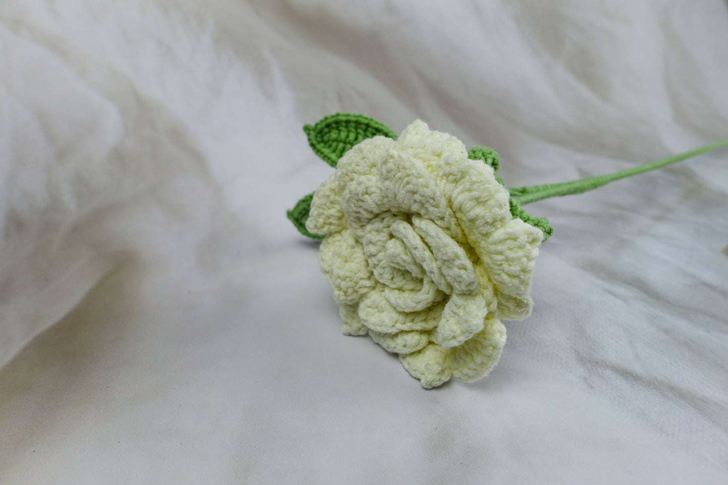 Yanzi Rose- White