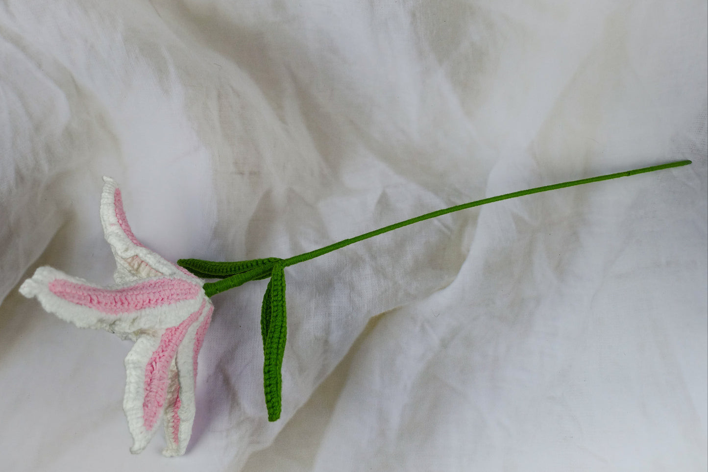 Lily - Pink N White