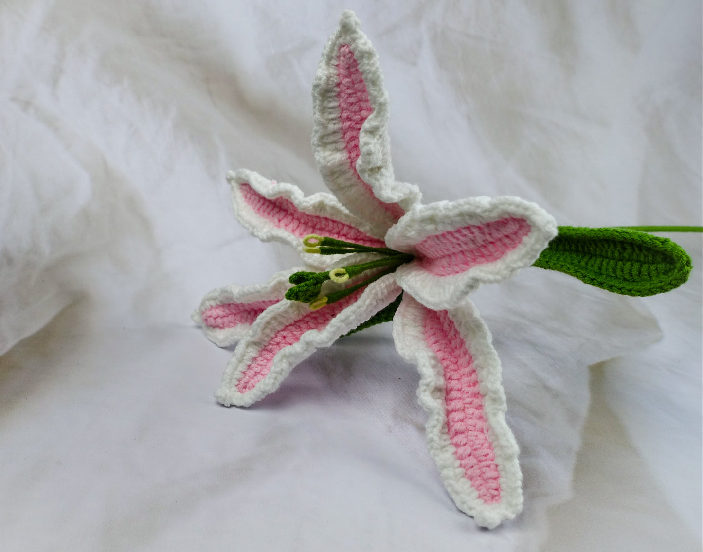 Lily - Pink N White