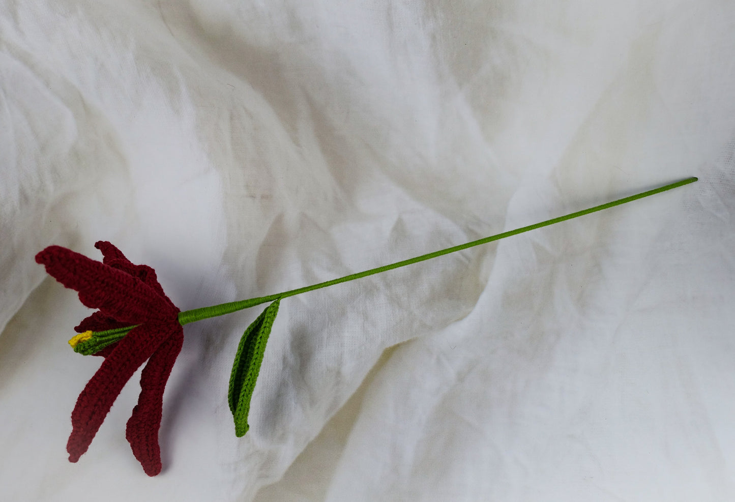 Lily -Burgundy