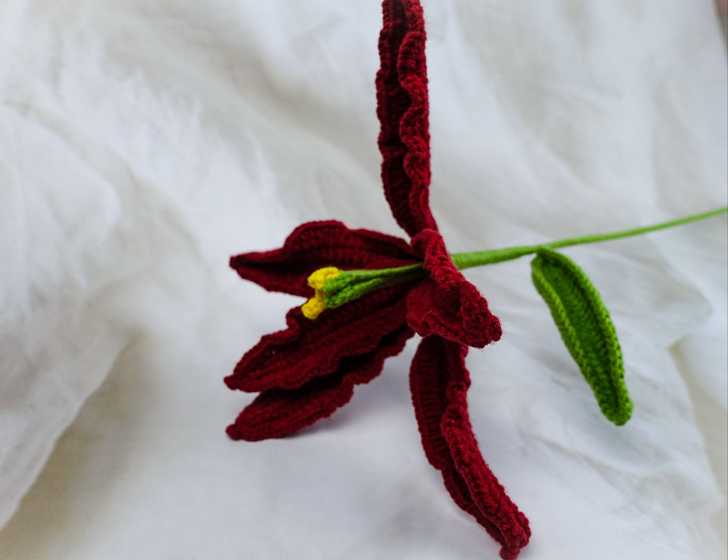 Lily -Burgundy