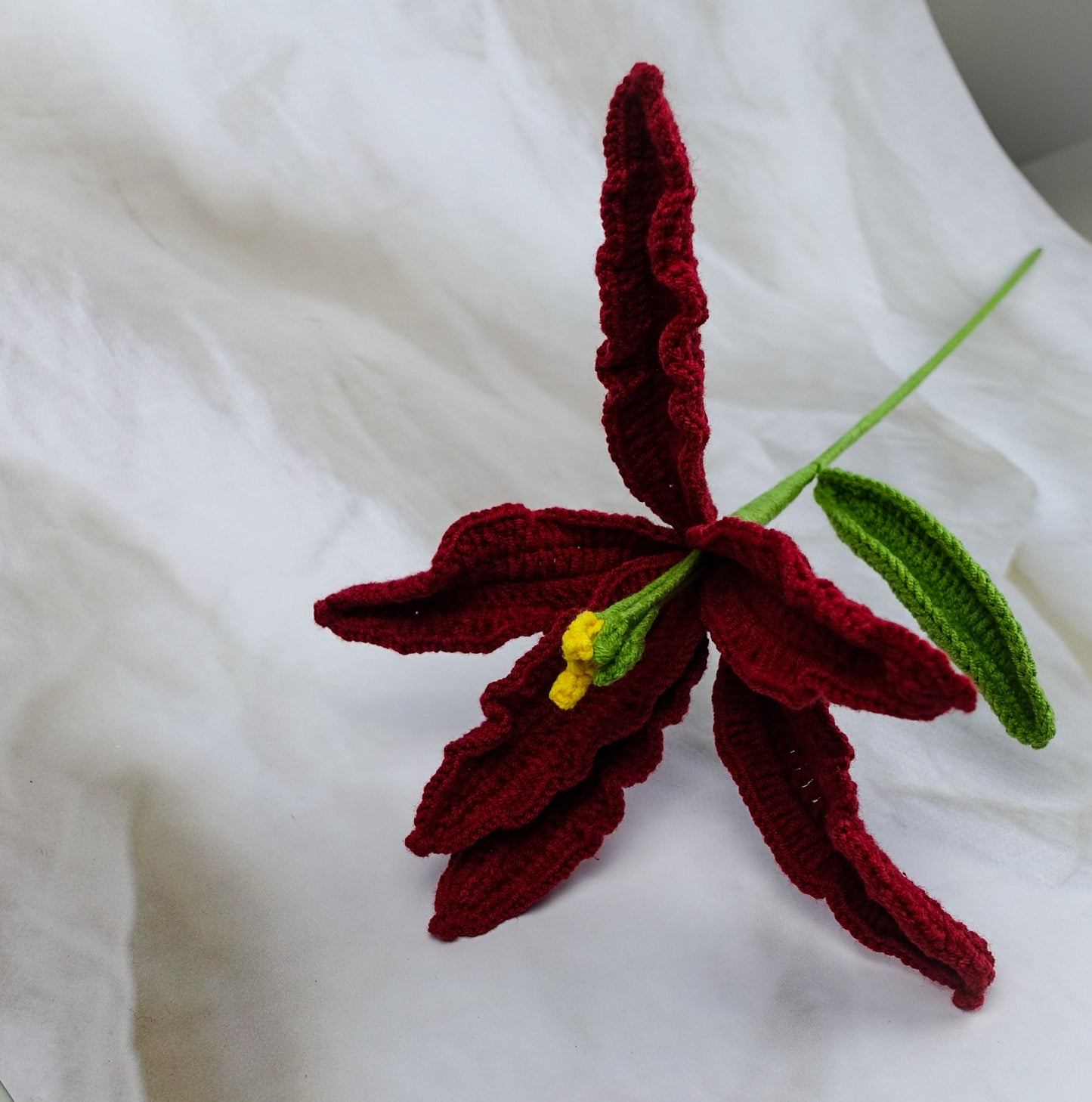 Lily -Burgundy