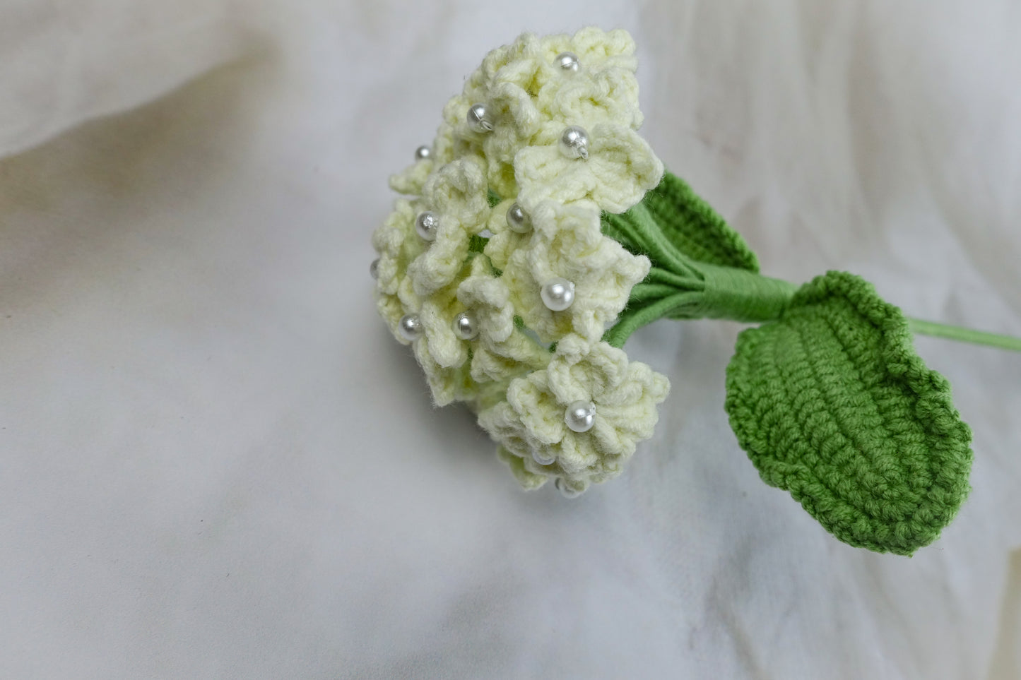 Hydrangea- White