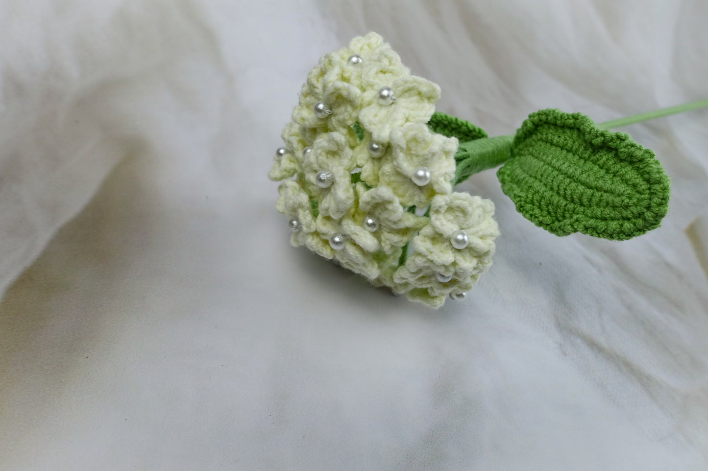 Hydrangea- White
