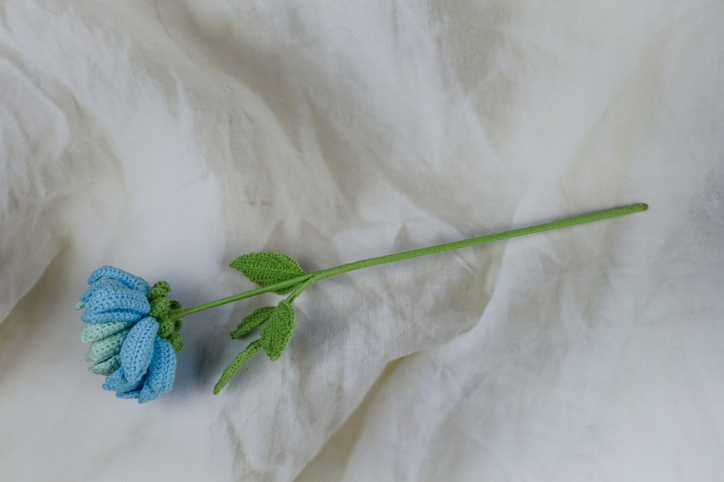Dahlia- Blue Hues