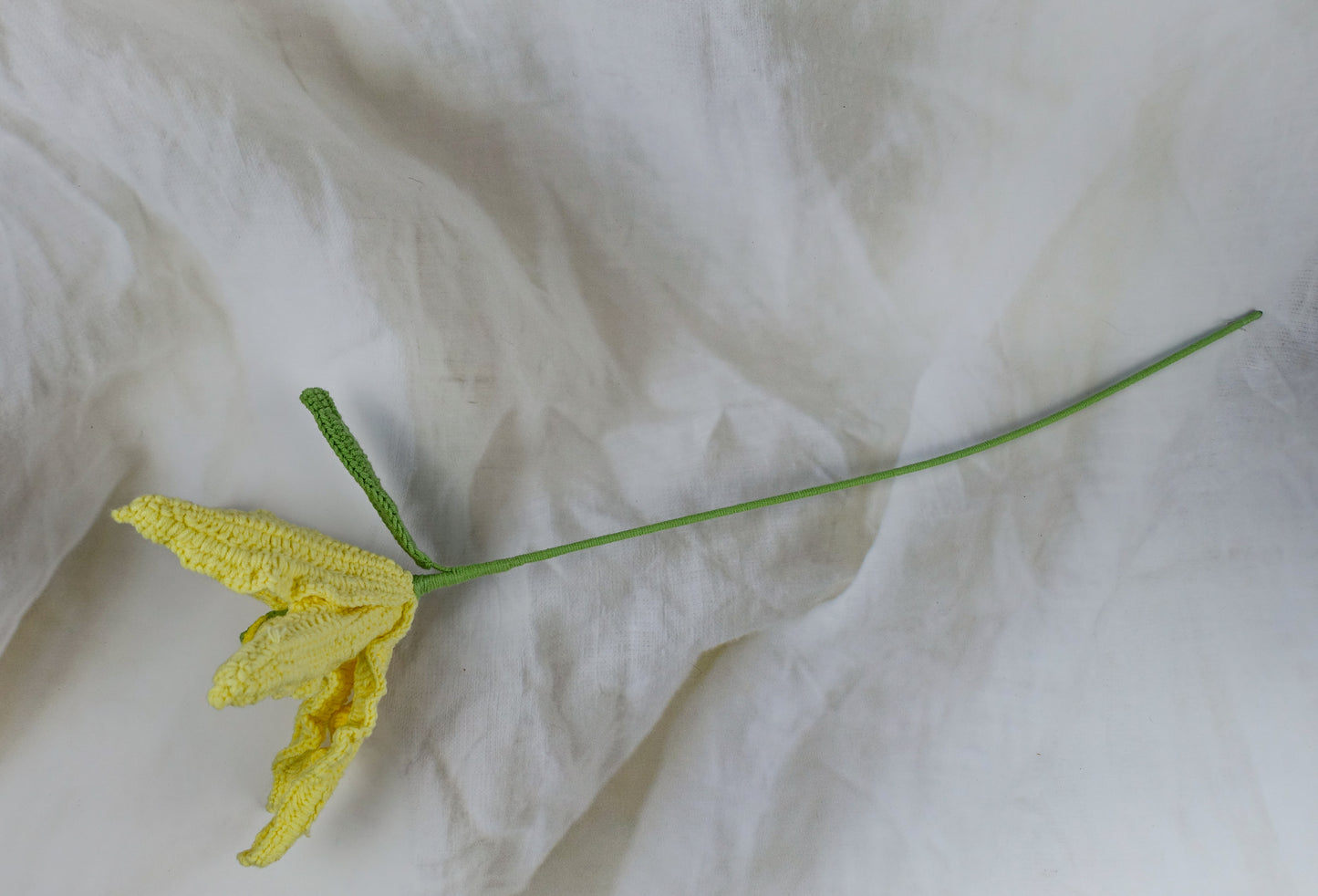 Lily- Yellow