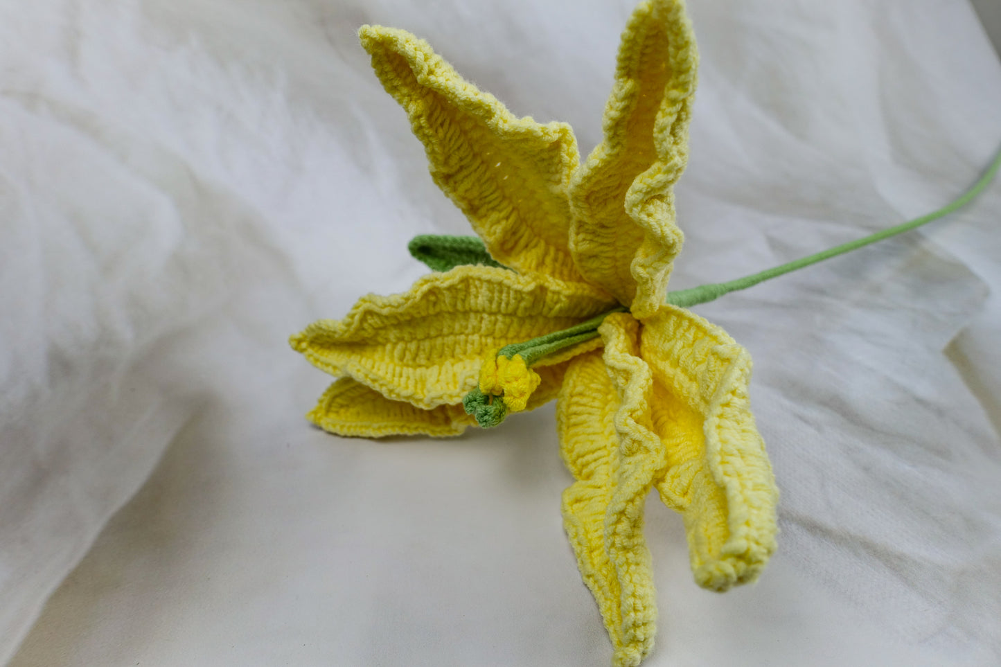 Lily- Yellow