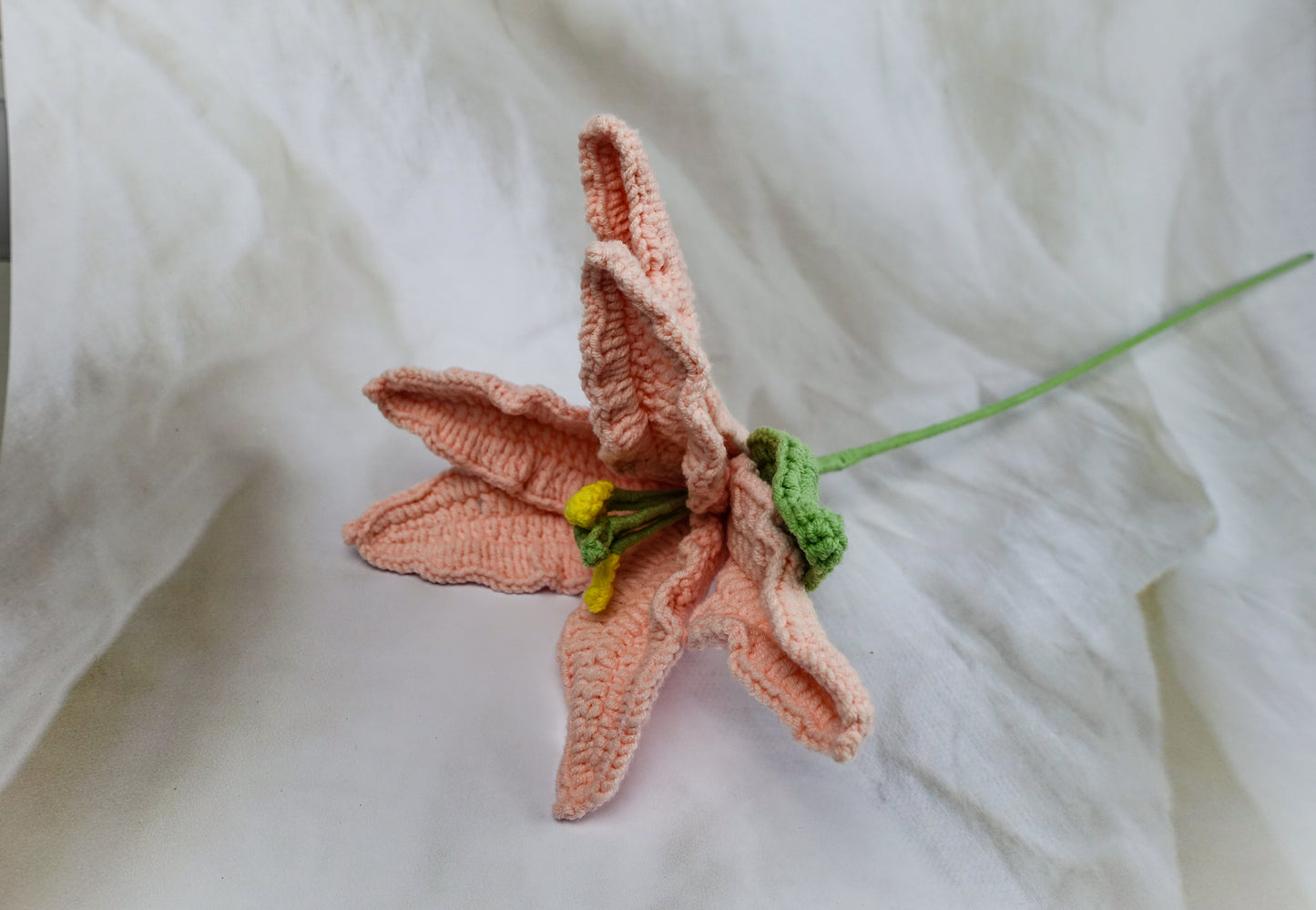 Lily- Peach