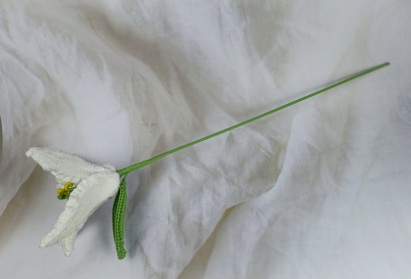 Lily - White