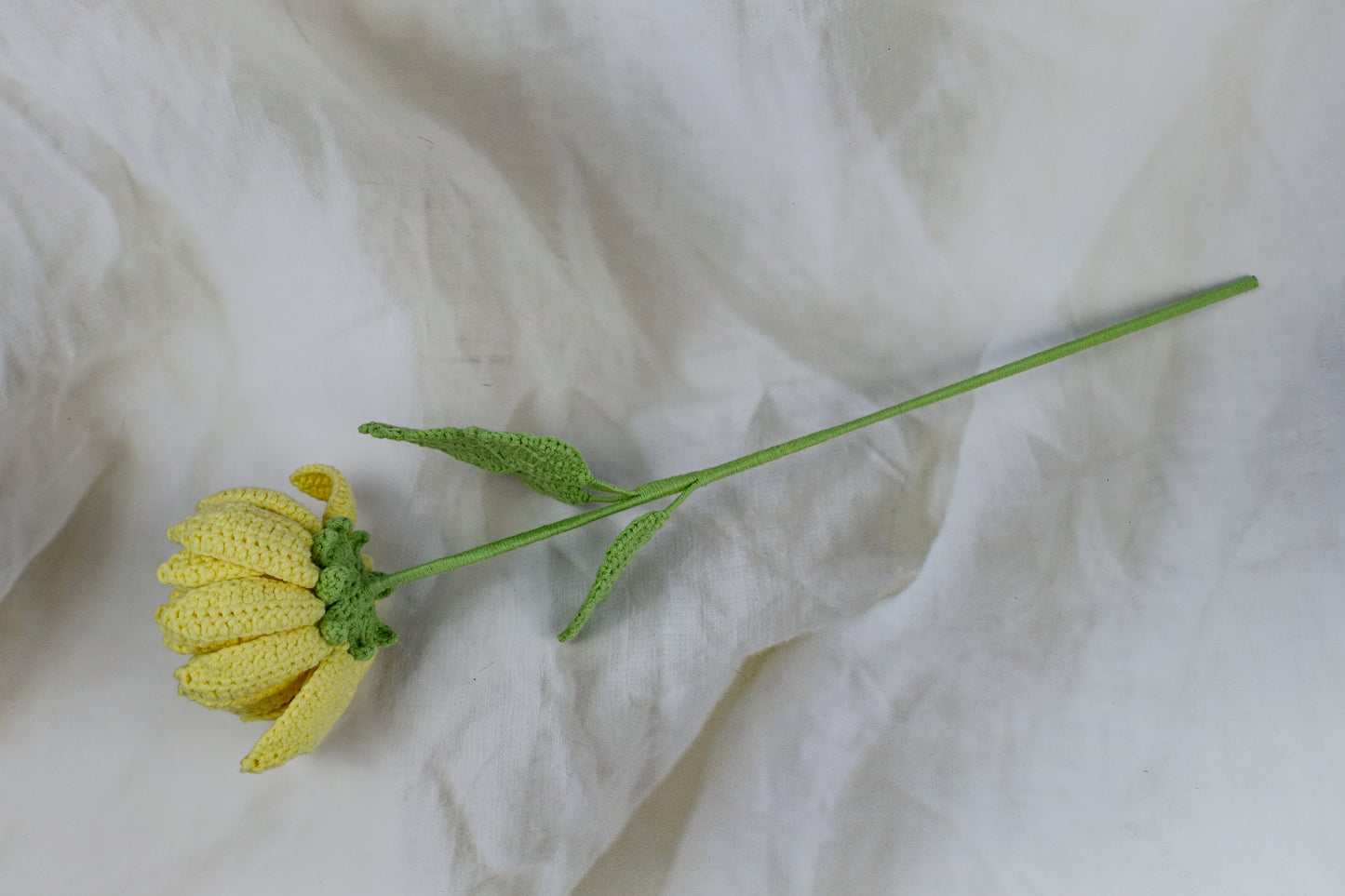 Dahlia- Yellow