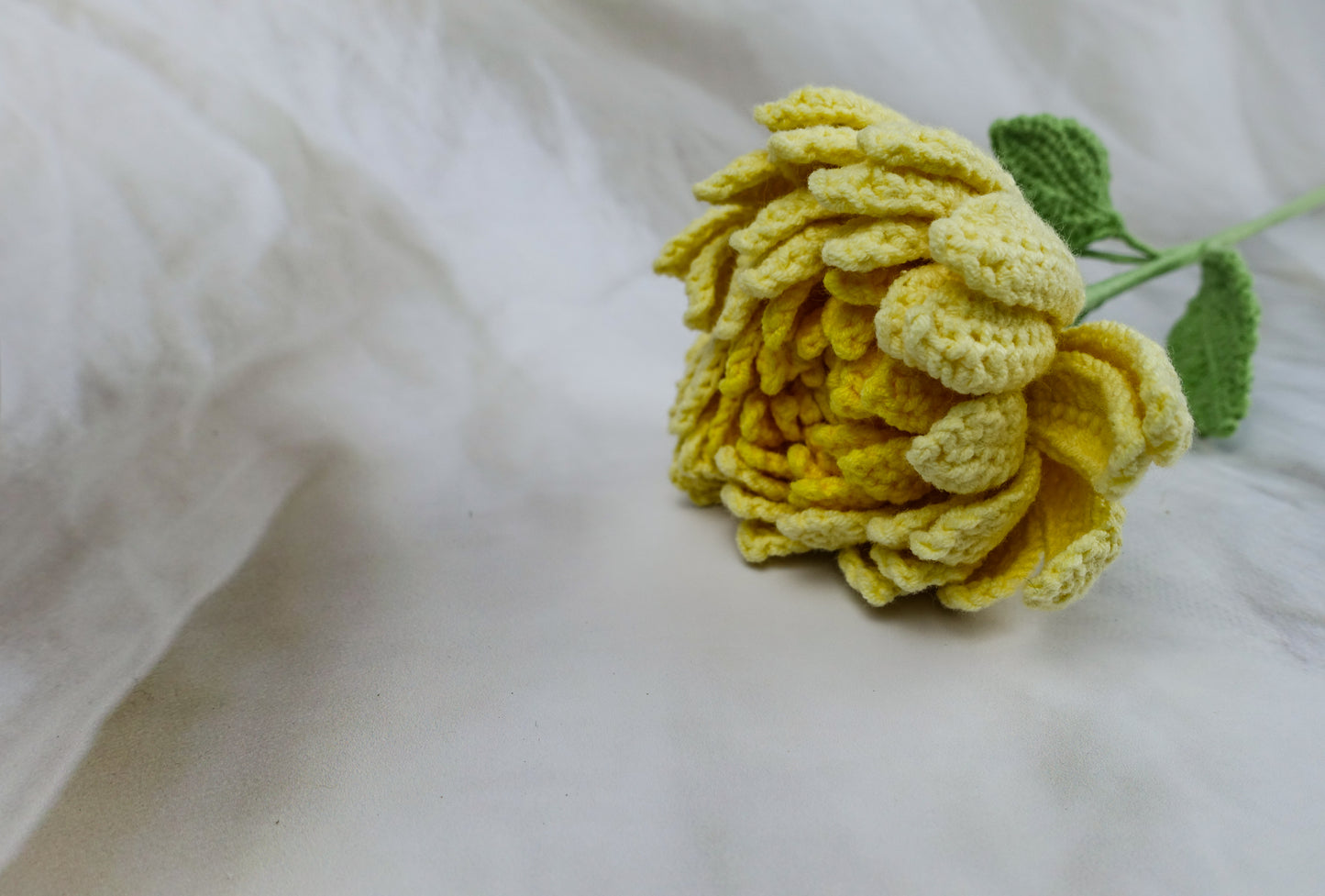 Dahlia- Yellow