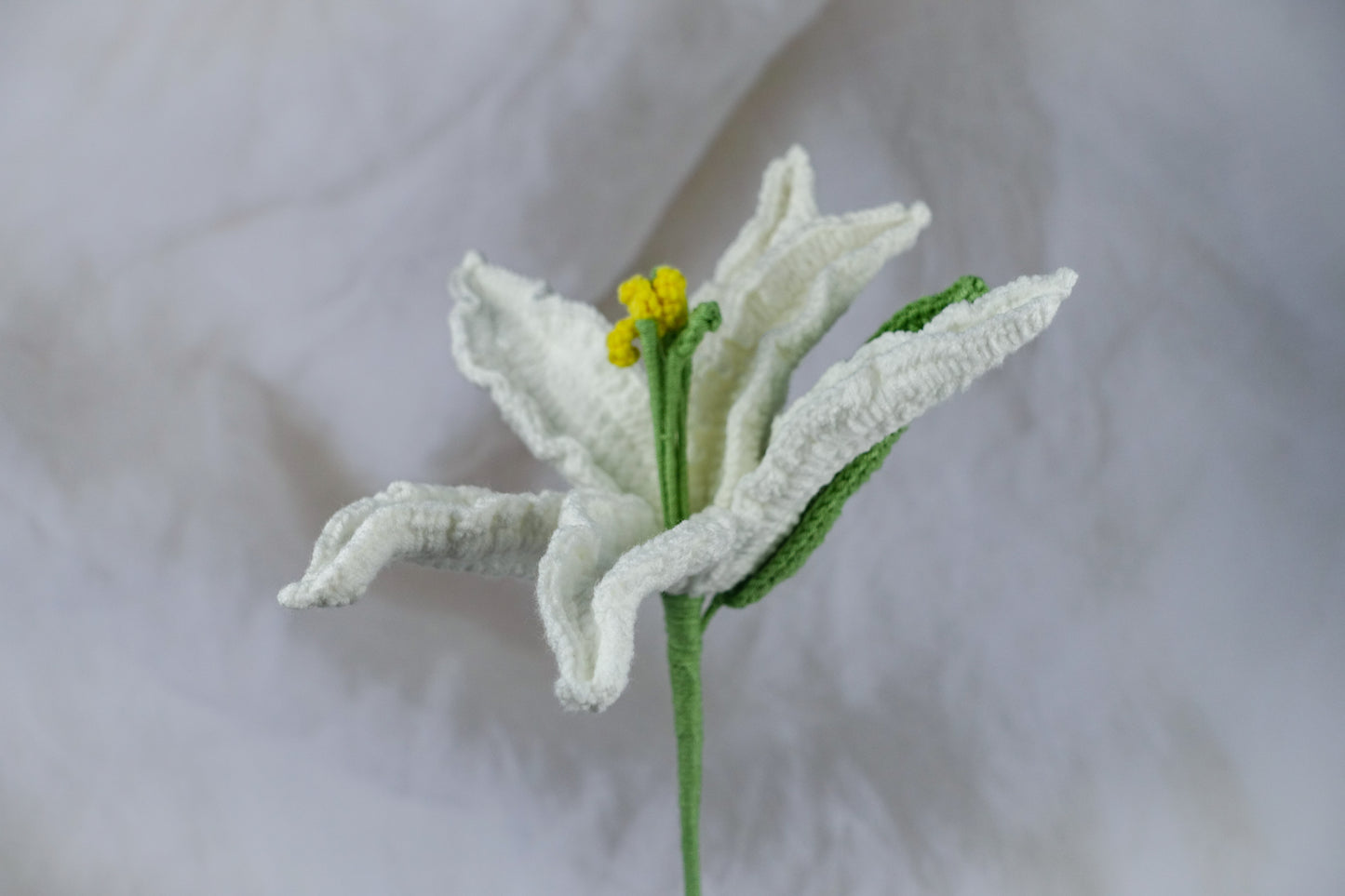 Lily - White
