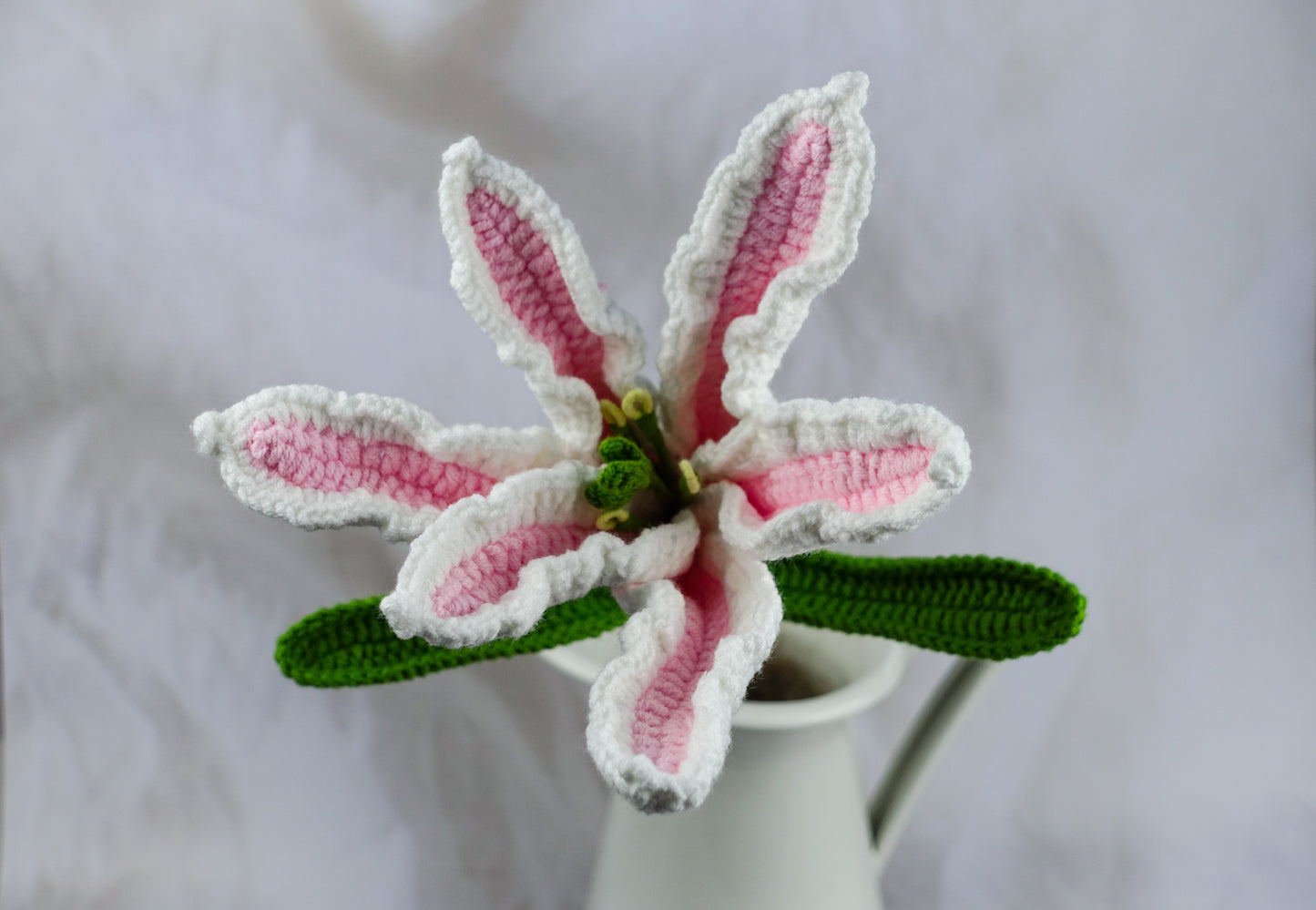 Lily - Pink N White