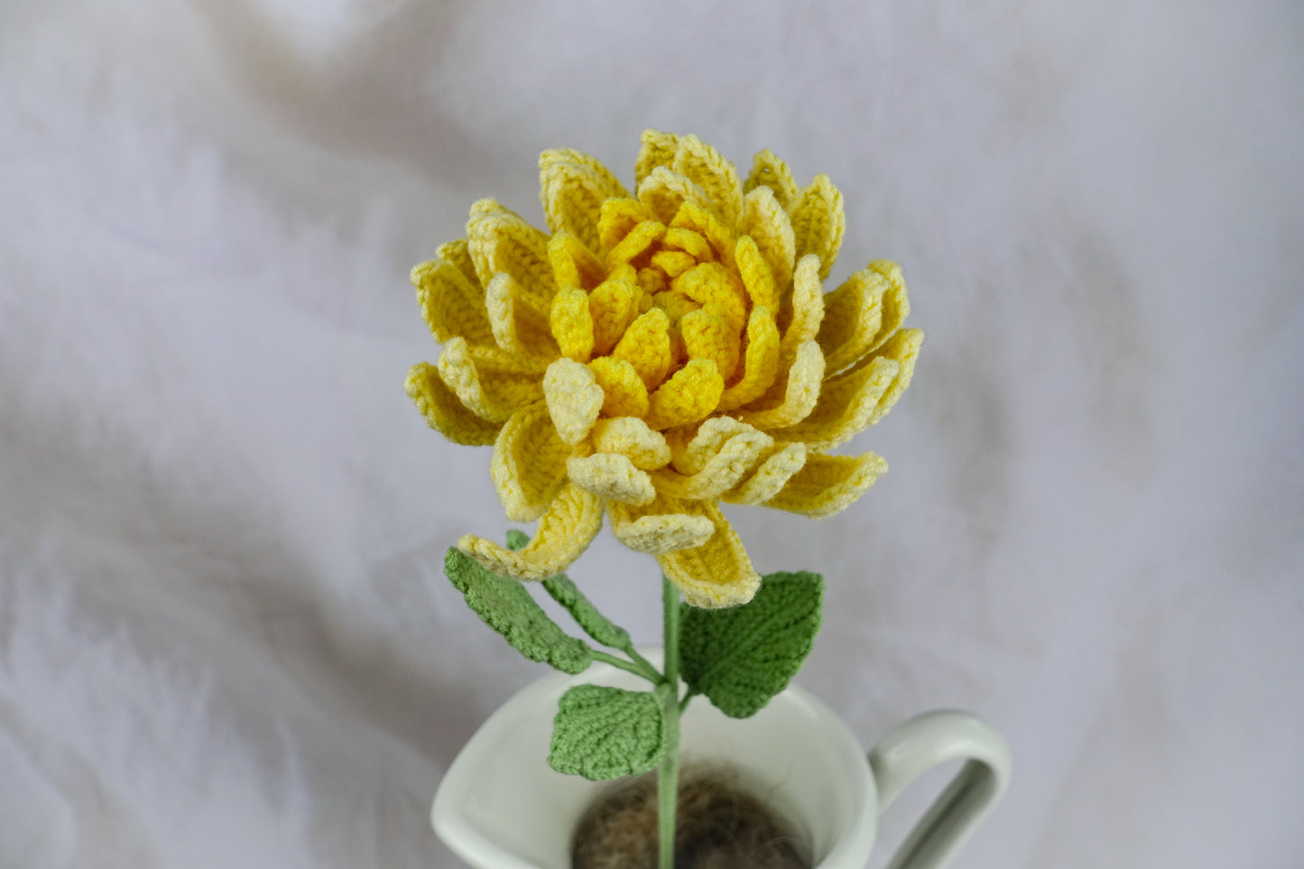 Dahlia- Yellow
