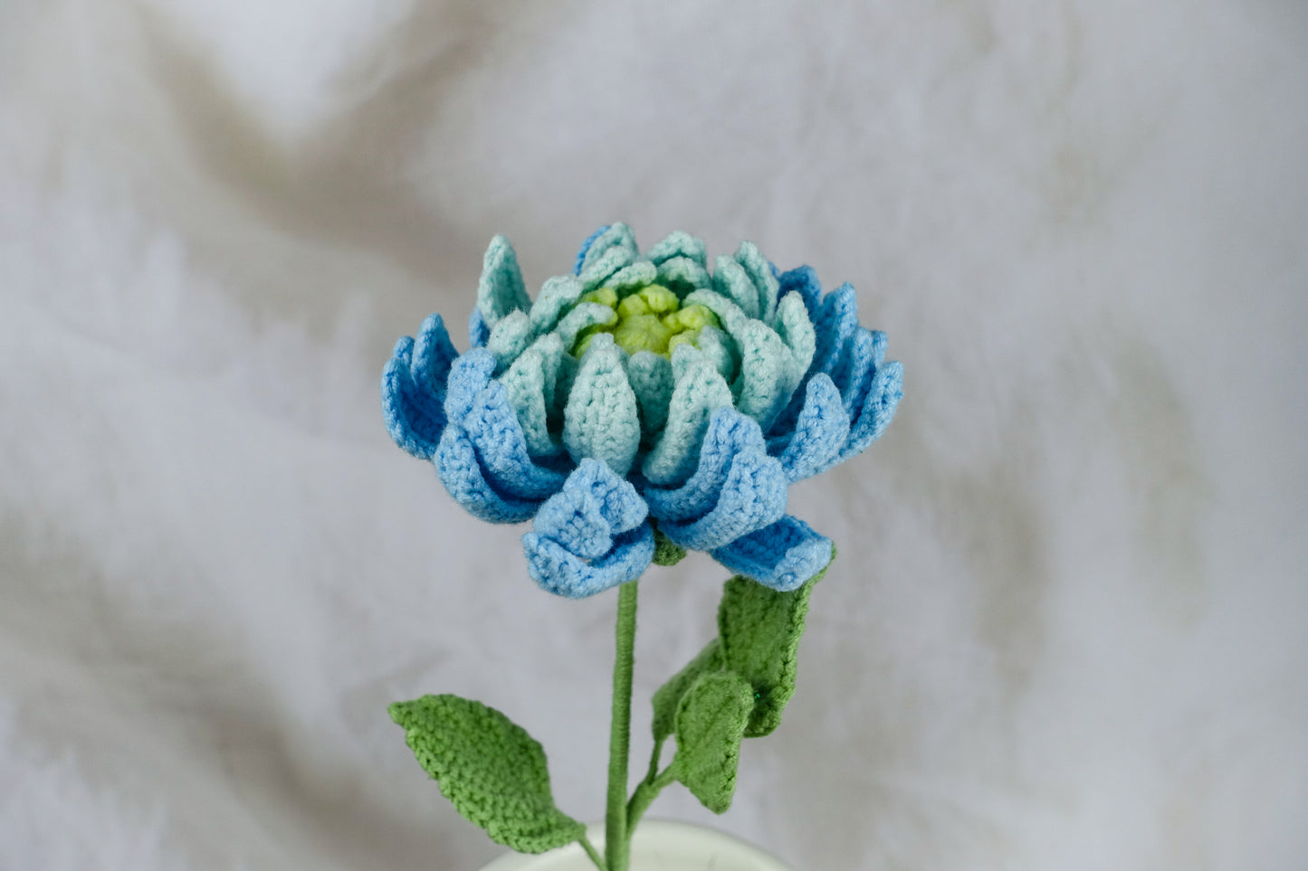 Dahlia- Blue Hues