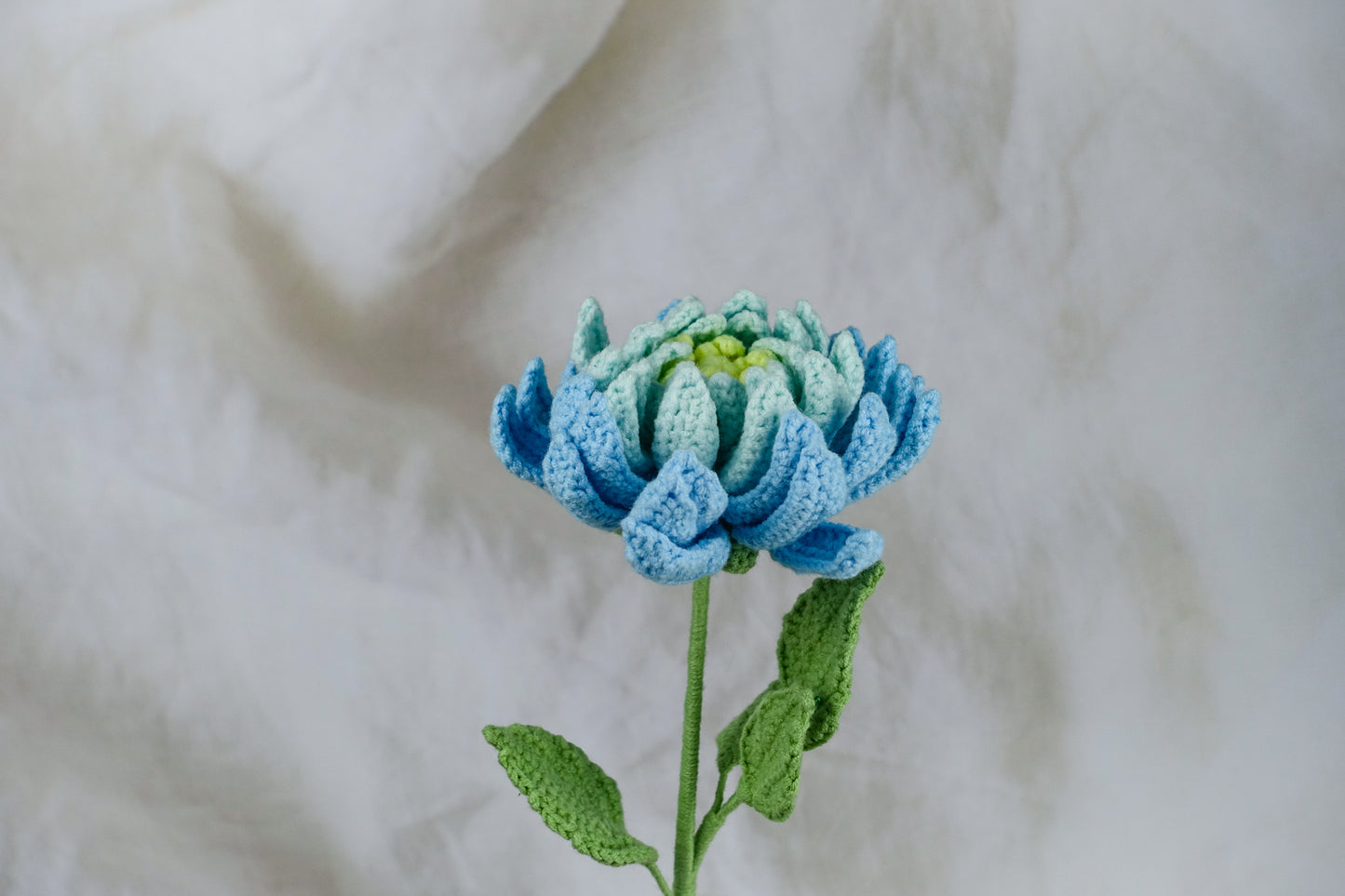 Dahlia- Blue Hues