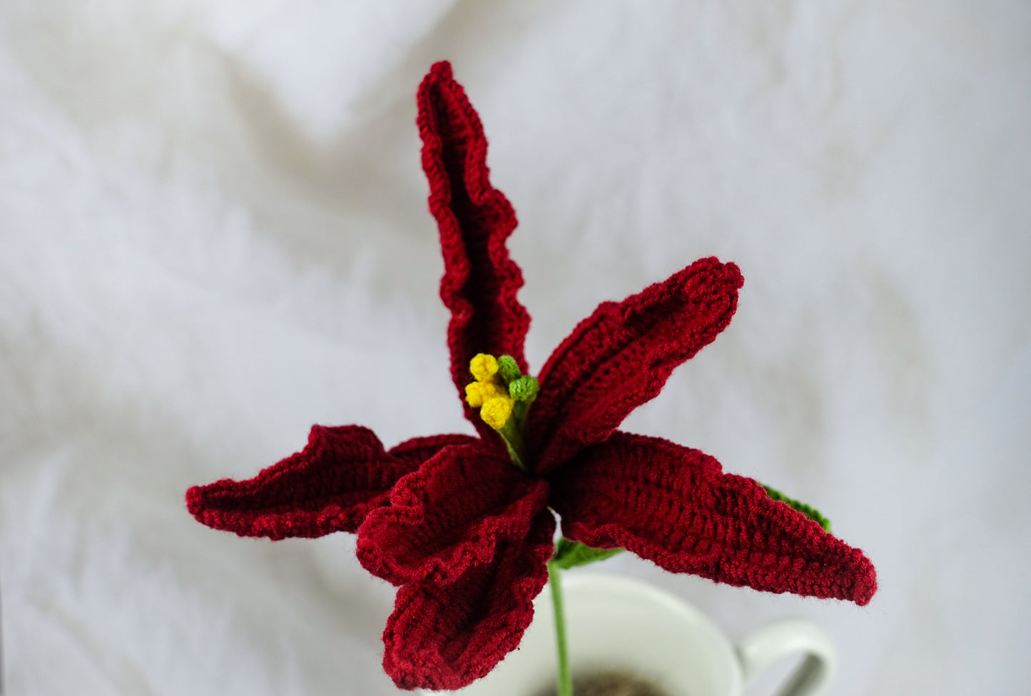 Lily -Burgundy