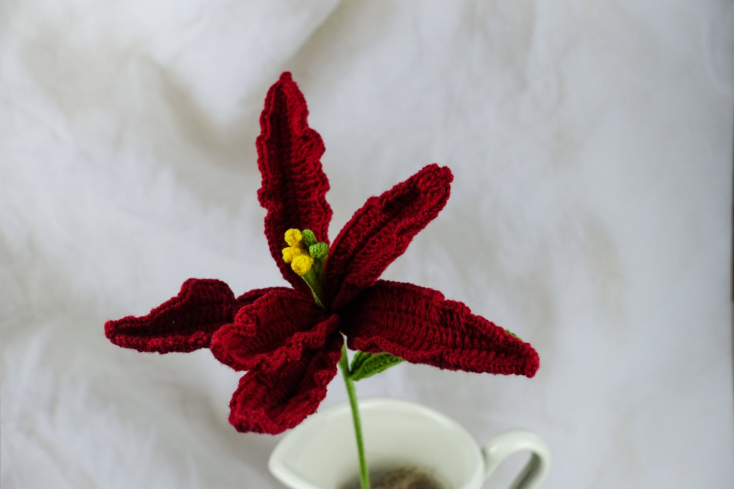 Lily -Burgundy