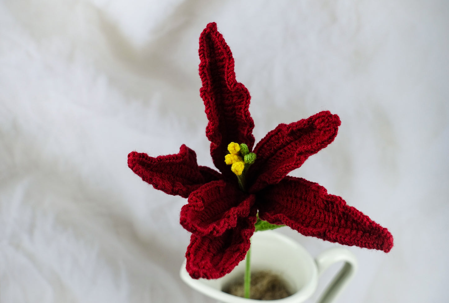 Lily -Burgundy