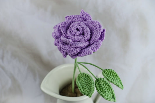 Yanzi Rose- Lavender
