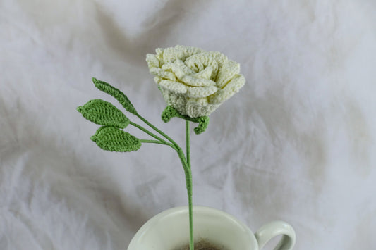 Yanzi Rose- White