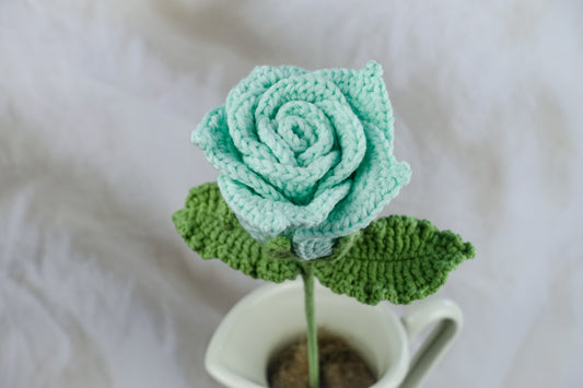 Thai Rose - Teal
