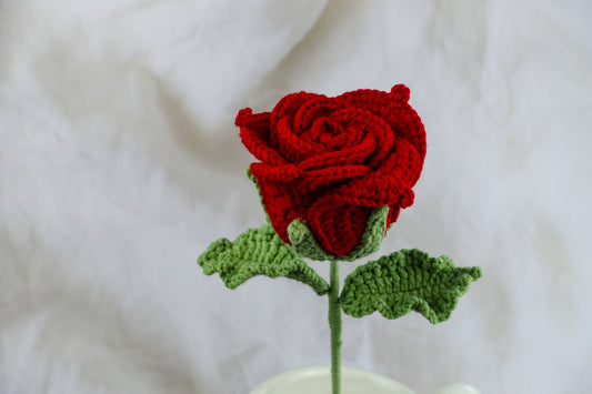 Thai Rose- Red
