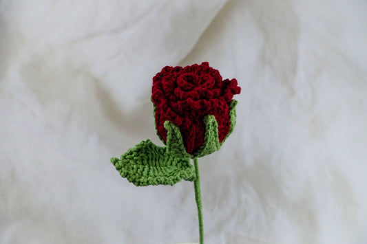 Loushen Rose- Burgundy