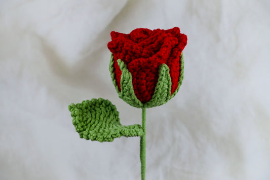 Luoshen Rose- Red