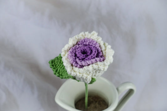 Loushen Rose- White N Purple